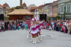 2011: Přehlídka v Mladé Boleslavi