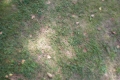 dscn1427