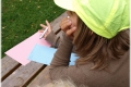 s2010_miss-5