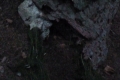 P1050131