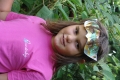 dsc08184