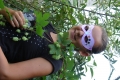 dsc08187