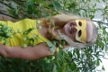 dsc08210