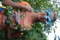 dsc08226