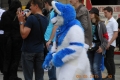 DSCN5211