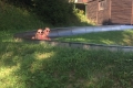 20150826.144834.IMG_4066