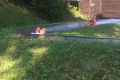 20150826.144901.IMG_4084
