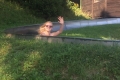 20150826.145011.IMG_4138