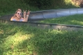 20150826.145527.IMG_4234