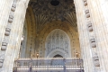 DSCN3008